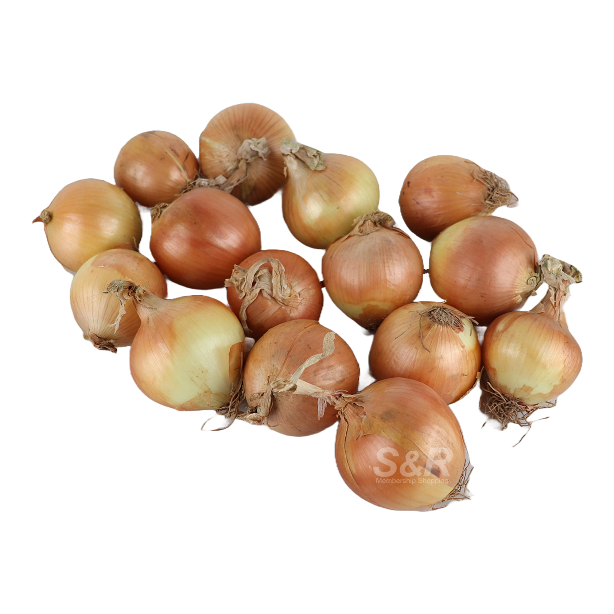 MFC White Onion approx. 1.5kg MFC White Onion approx. 1.5kg